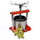 Juice Extraction Juice Extraction