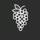 Wine Making Wine Making