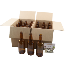 Clear Glass Beer Bottles - Case of 24