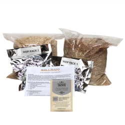 Balliihoo Munich Festbier - 40 Pint - All Grain / Full Mash Kit