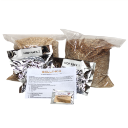 Balliihoo Solar Flare Golden Ale - 40 Pint - All Grain / Full Mash Kit
