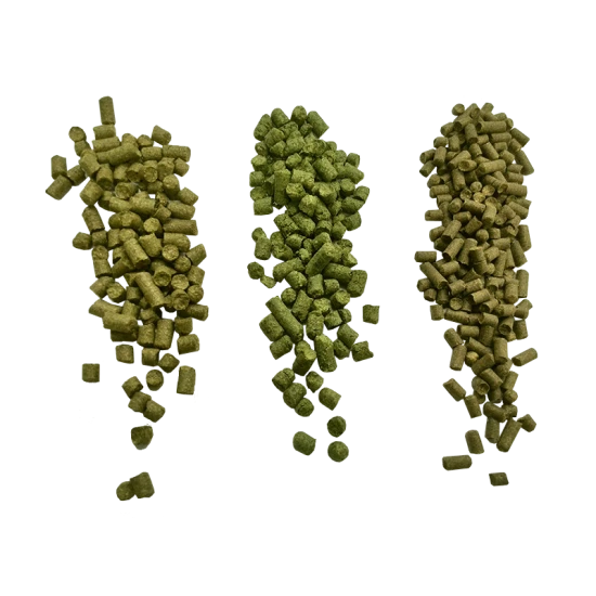 Challenger Hop Pellets (UK) - Vacuum Pack - 100g