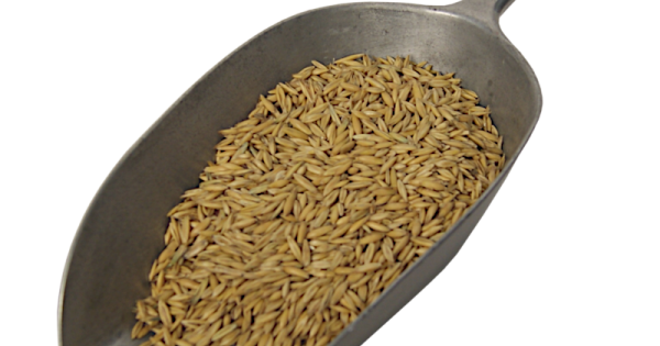 Flaked Oats Flaked Oats - 500g - The Homebrew Centre